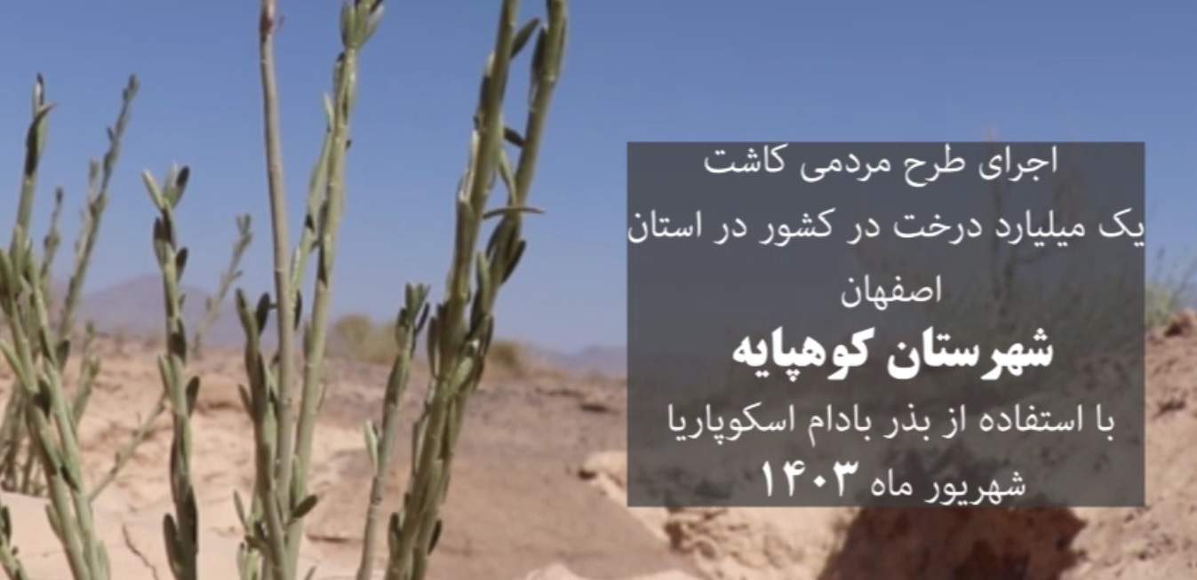 میزان رشد بذر بادام اسکوپاریا در استان اصفهان